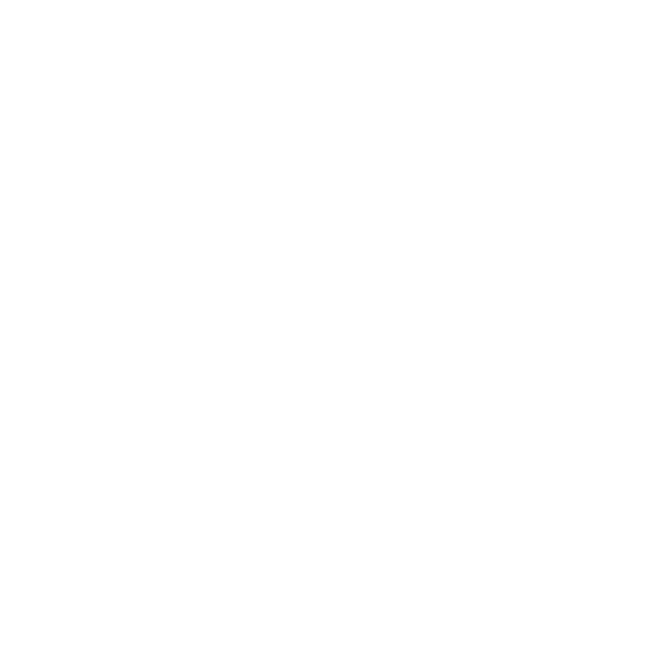 Medical Menarini